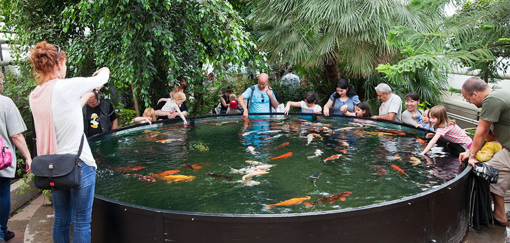 スカンセン野外博物館