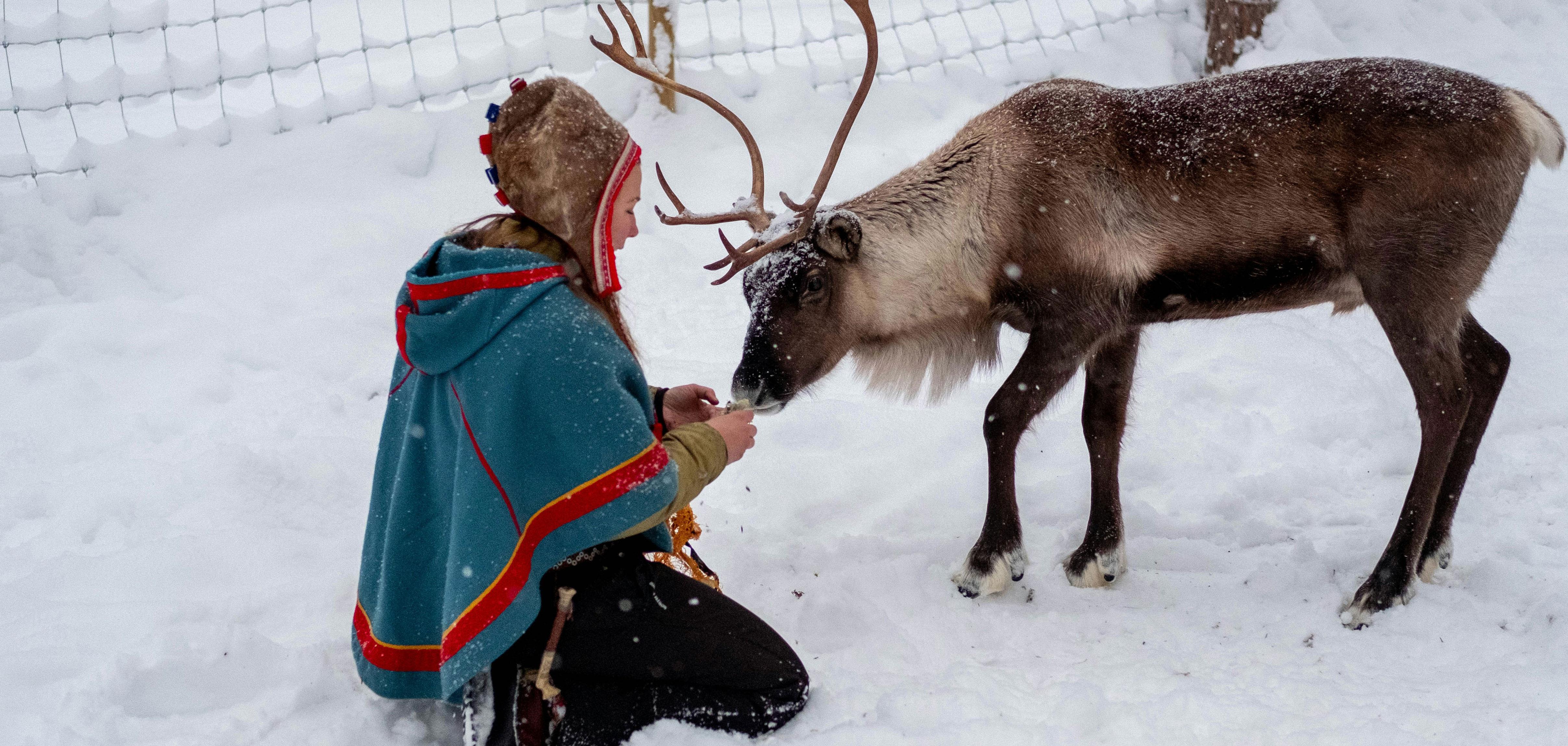 鹿とのふれあい